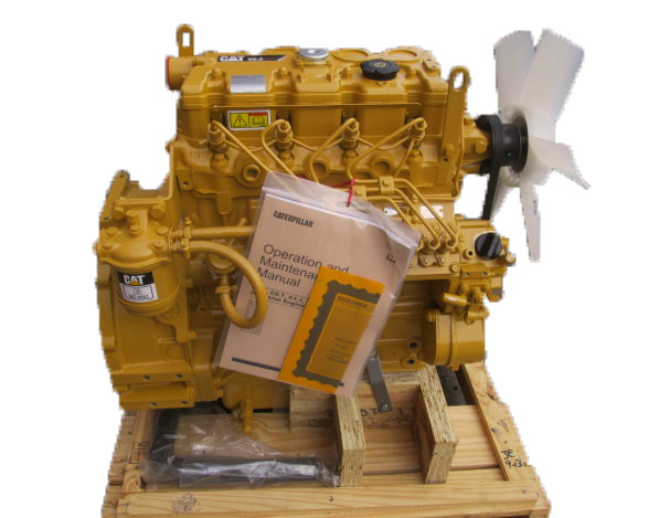 Cat 3024C engine